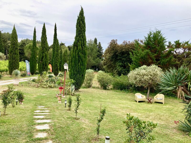 Un jardin verdoyant avec des cyprès hauts et des chemins de pierre, menant à deux chaises d'extérieur.