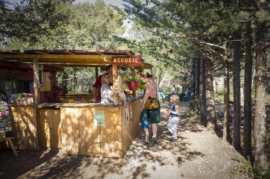 cabane d'accueil de la forêt enchantée