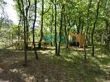 La forêt enchantée