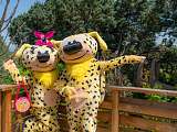 Parc Spirou