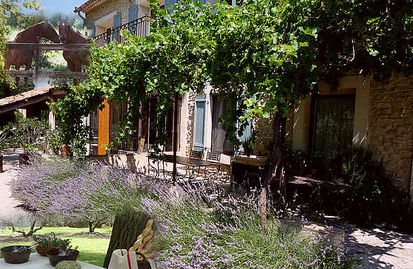Une façade de maison en pierre de style provençal, recouverte de vigne vierge, avec une terrasse aménagée et un champ de lavande en fleurs au premier plan.