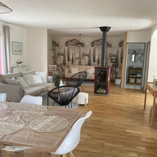 Un salon et salle à manger à aire ouverte avec des murs blancs et du parquet, un canapé gris, un poêle à bois moderne, et un papier peint mural représentant des arbres en noir et blanc.